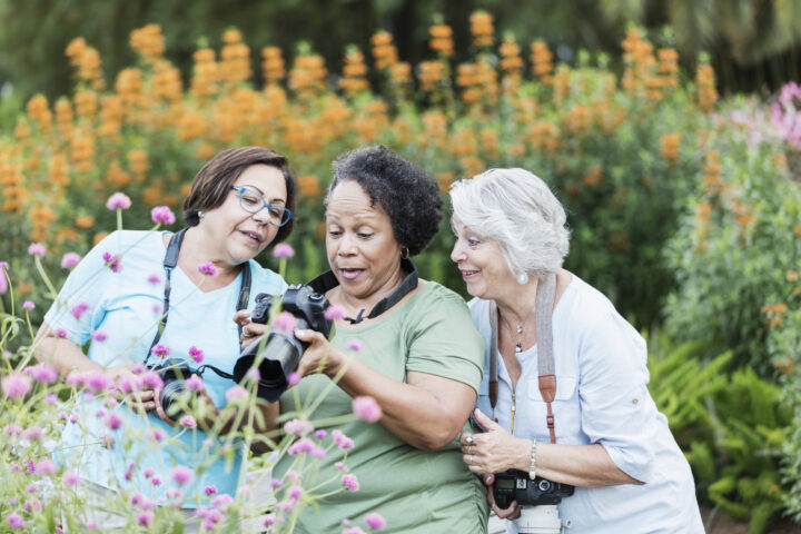 Three woman in a garden with cameras